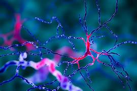 Neurotransmisores para niños